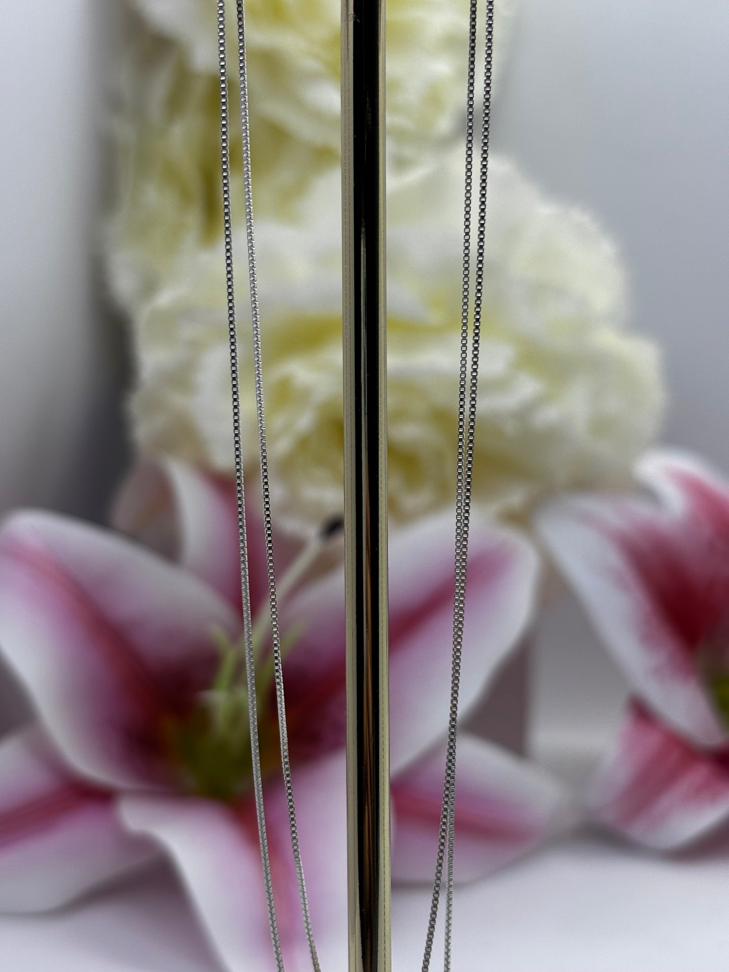 Conjunto de plata de corazones