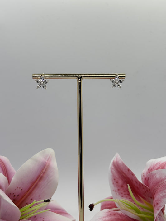 Aros de plata en forma de flor